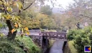 西田幾多郎が歩いた哲学の道を散歩した